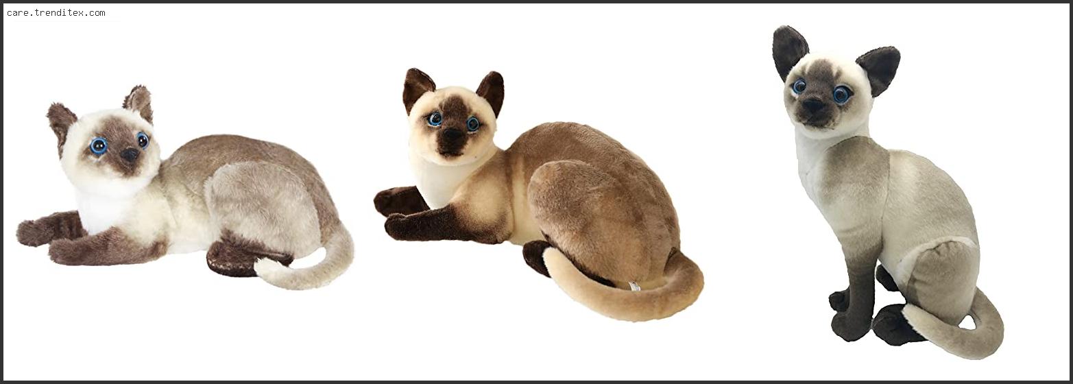 Best Toys For Siamese Cats