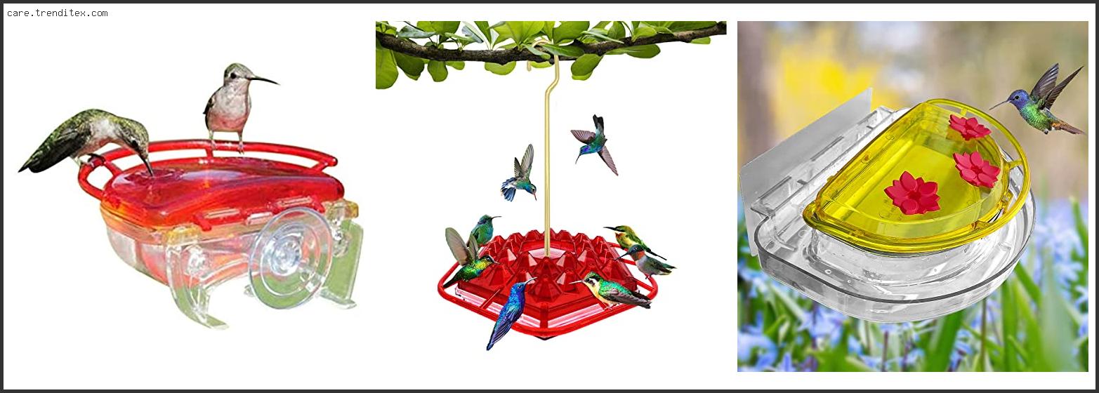 Best Hummingbird Feeder For Window