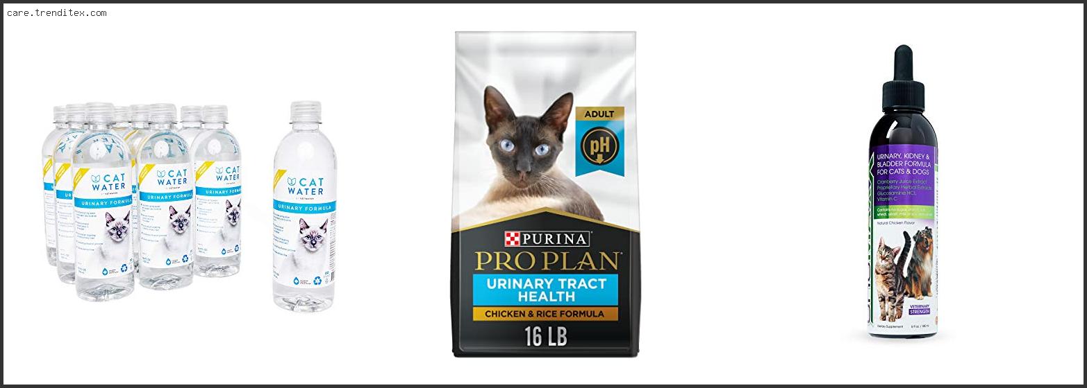 Best Cat Treats For Urinary Health