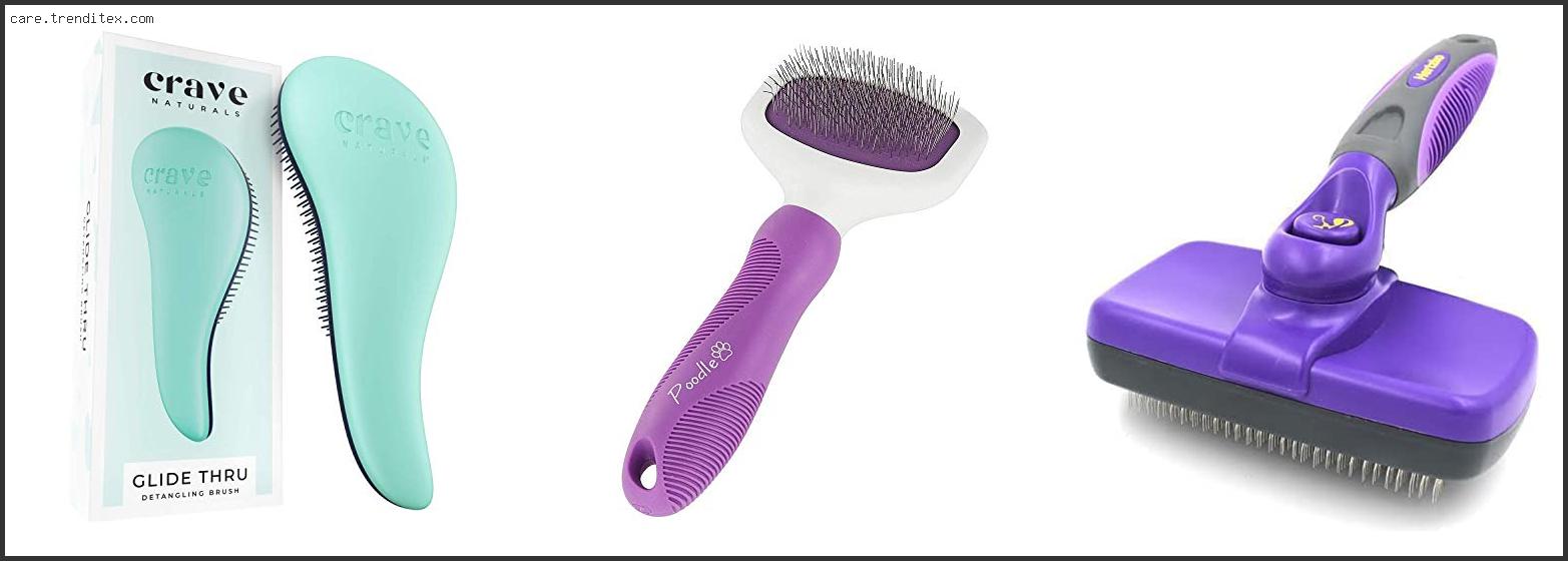 Best Brush For Curly Hair Dogs