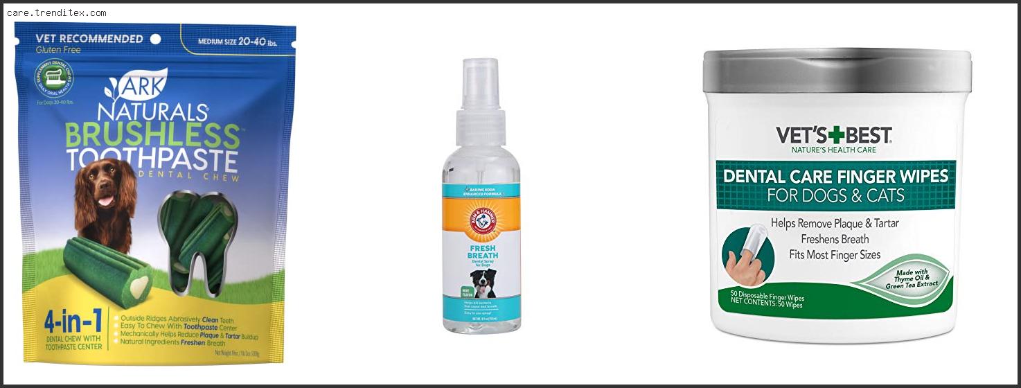 Best Teeth Products For Dogs