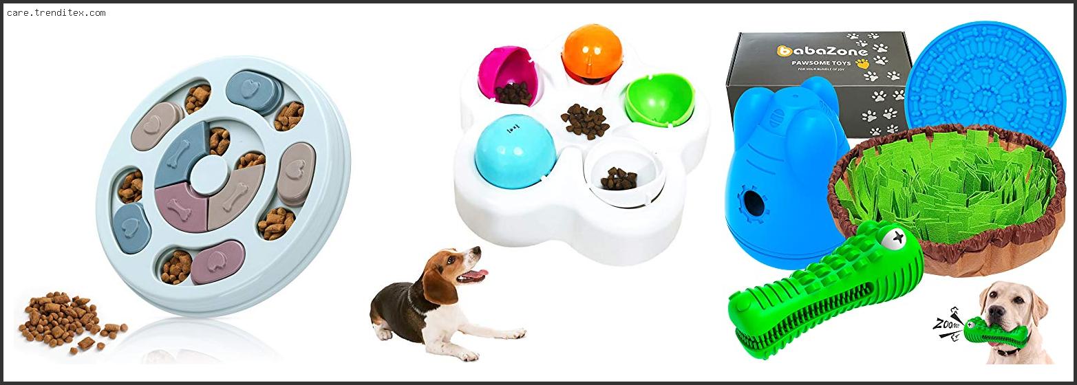 Best Puzzle Toys For Small Dogs