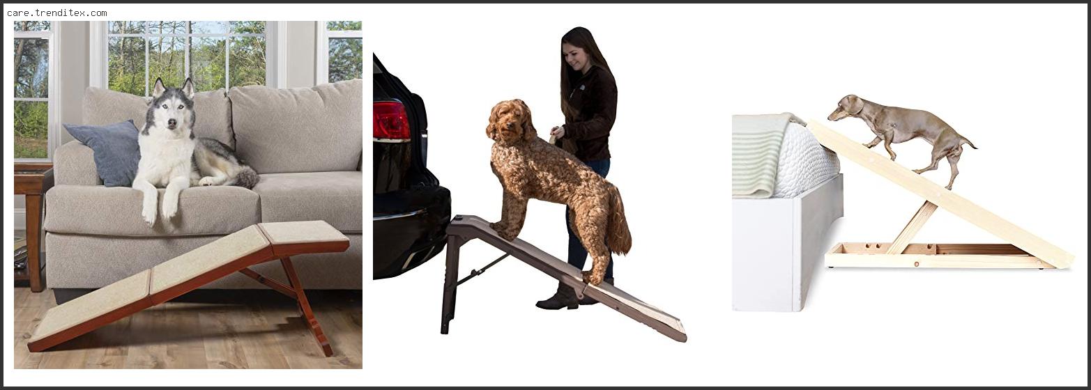 Best Dog Ramp For Dachshunds