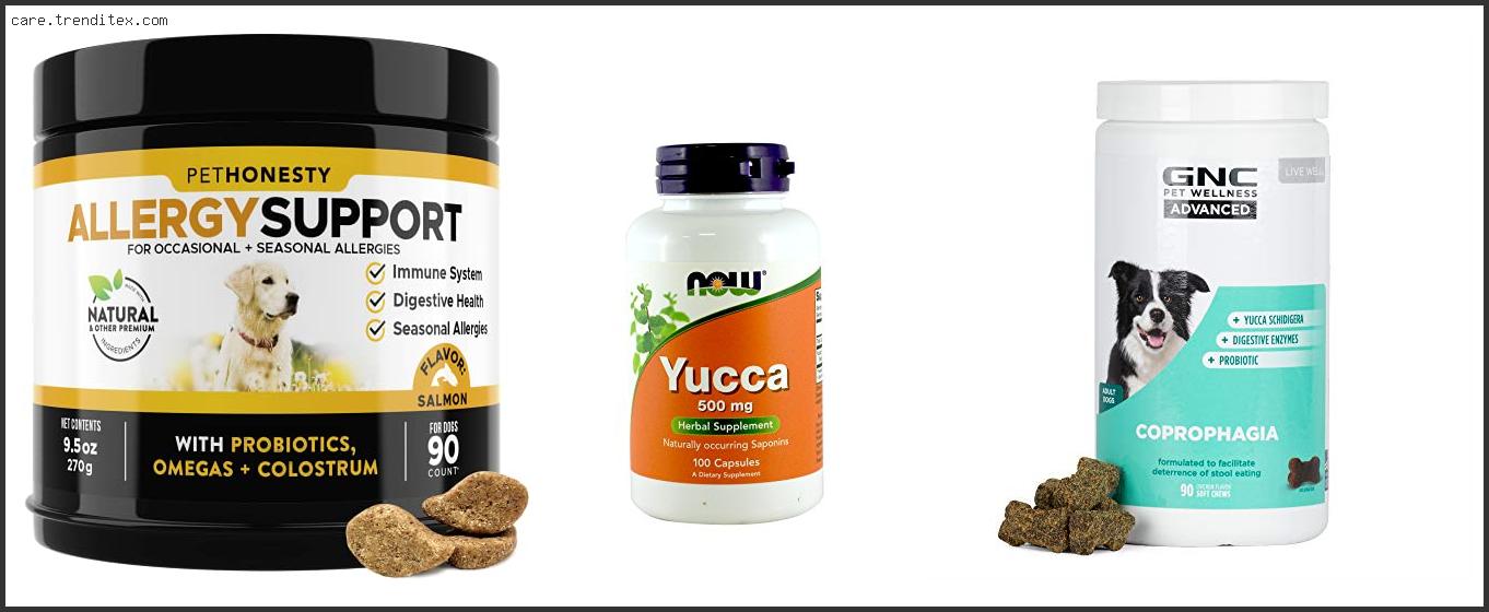 Best Yucca Supplement For Dogs