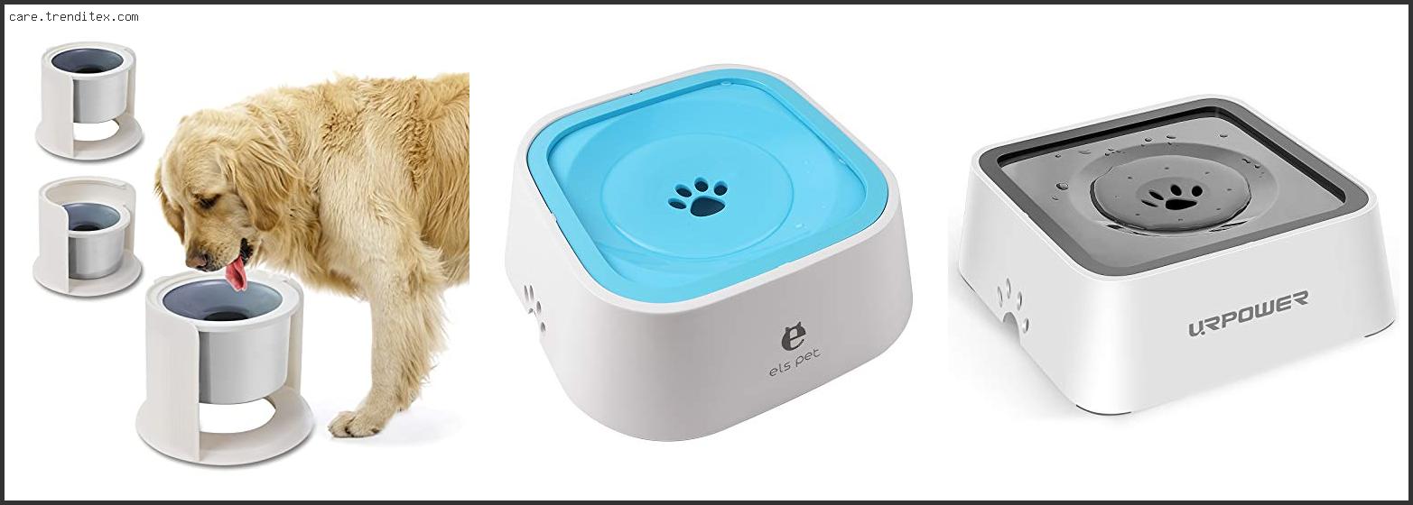 Best Water Bowl For Dogs That Drool