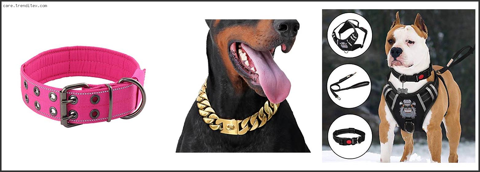 Best Dog Collars For Pitbulls