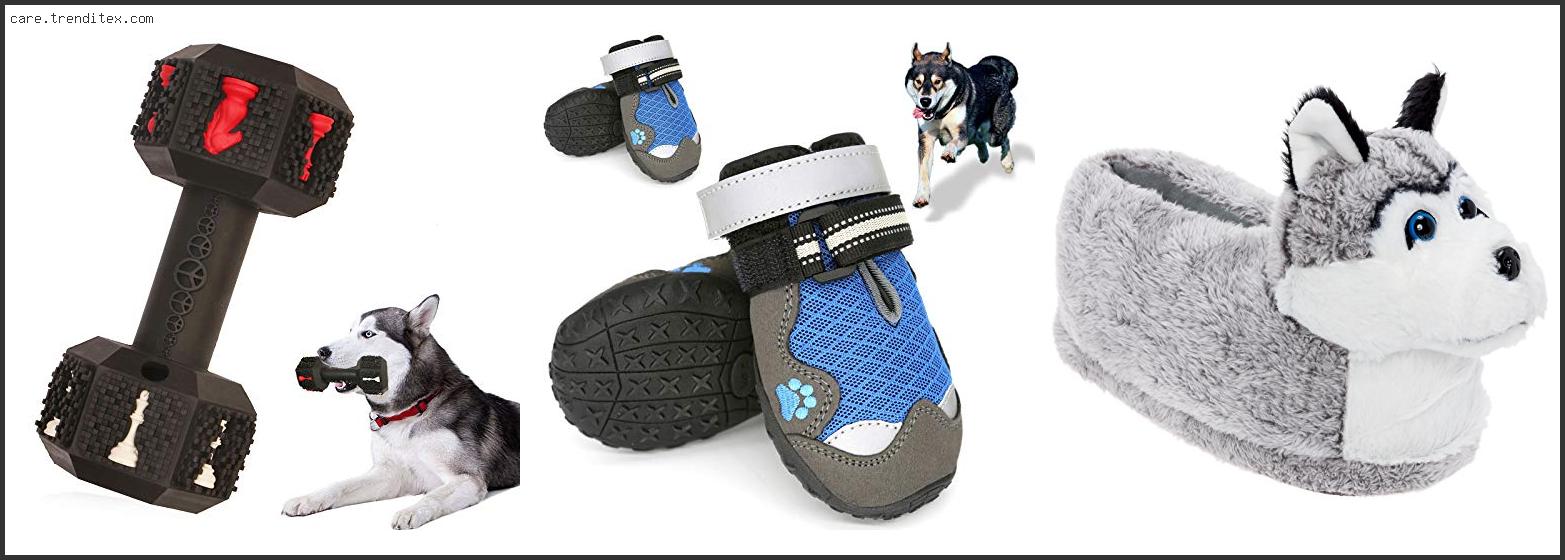 Best Dog Shoes For Huskies