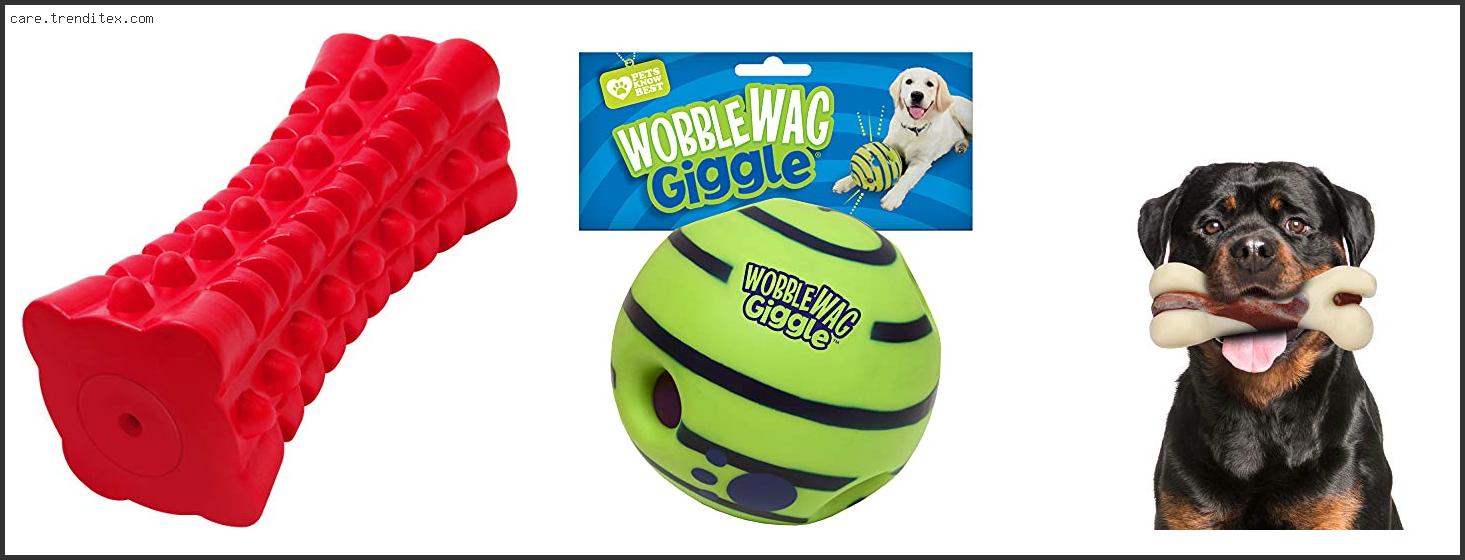 Best Toys For Aggressive Chewing Dogs