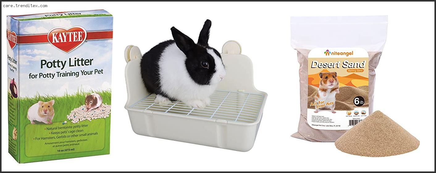 Best Potty Litter For Hamsters