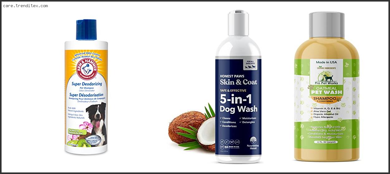 Best Dog Shampoo And Conditioner