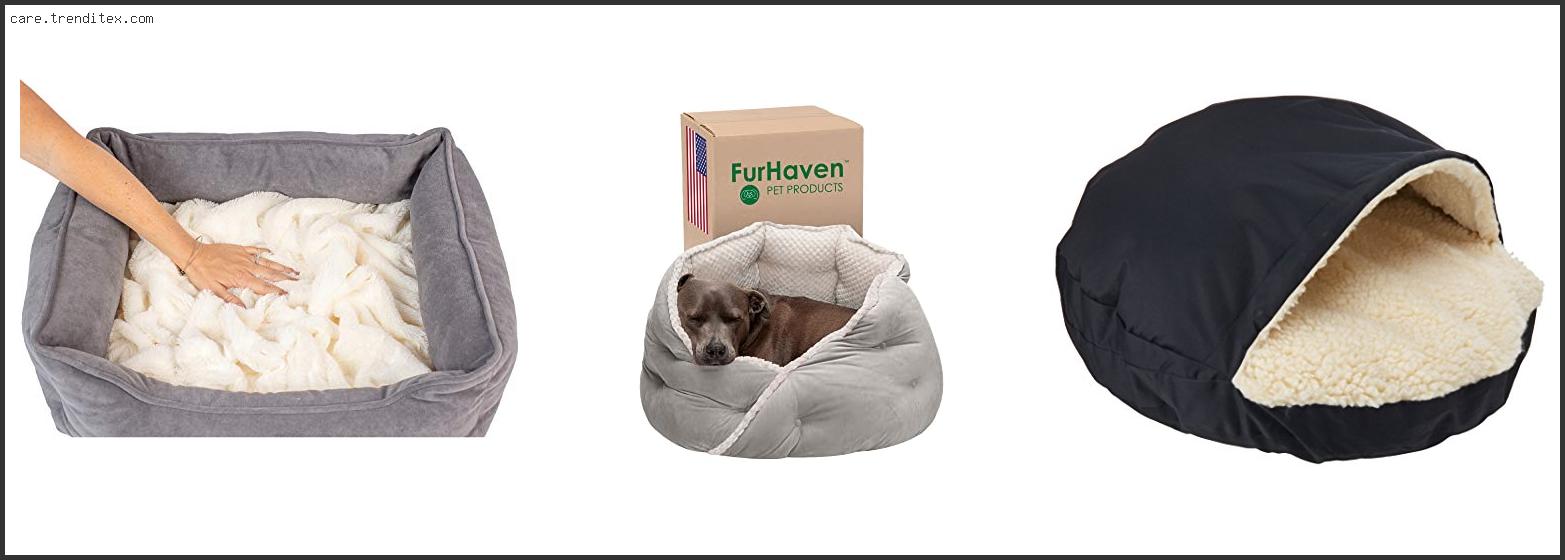 Best Burrow Dog Bed