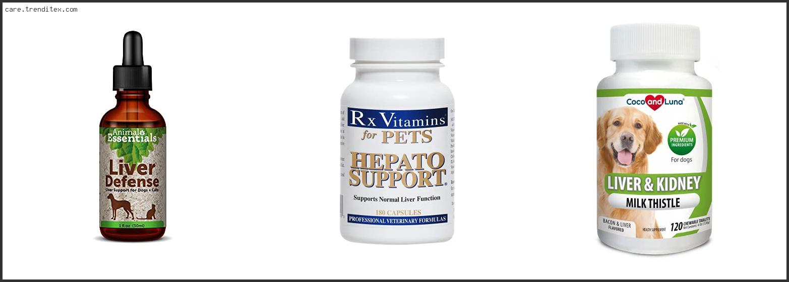 Best Liver Supplements For Dogs