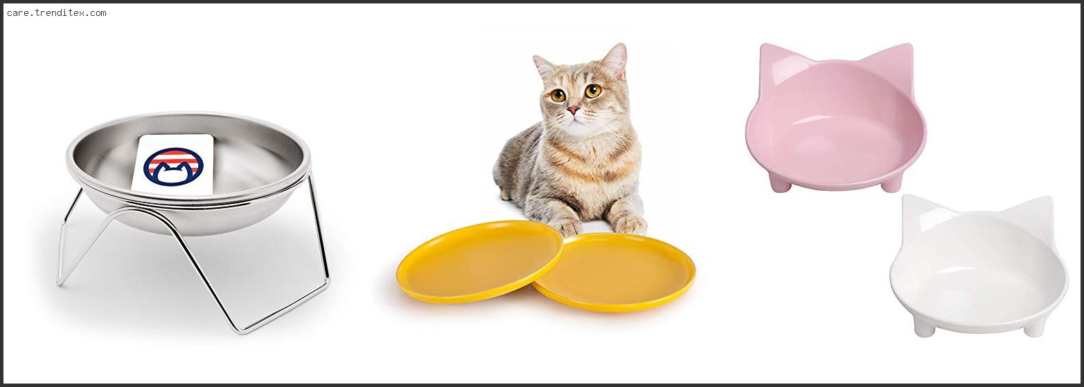 Best Cat Bowls For Whisker Fatigue