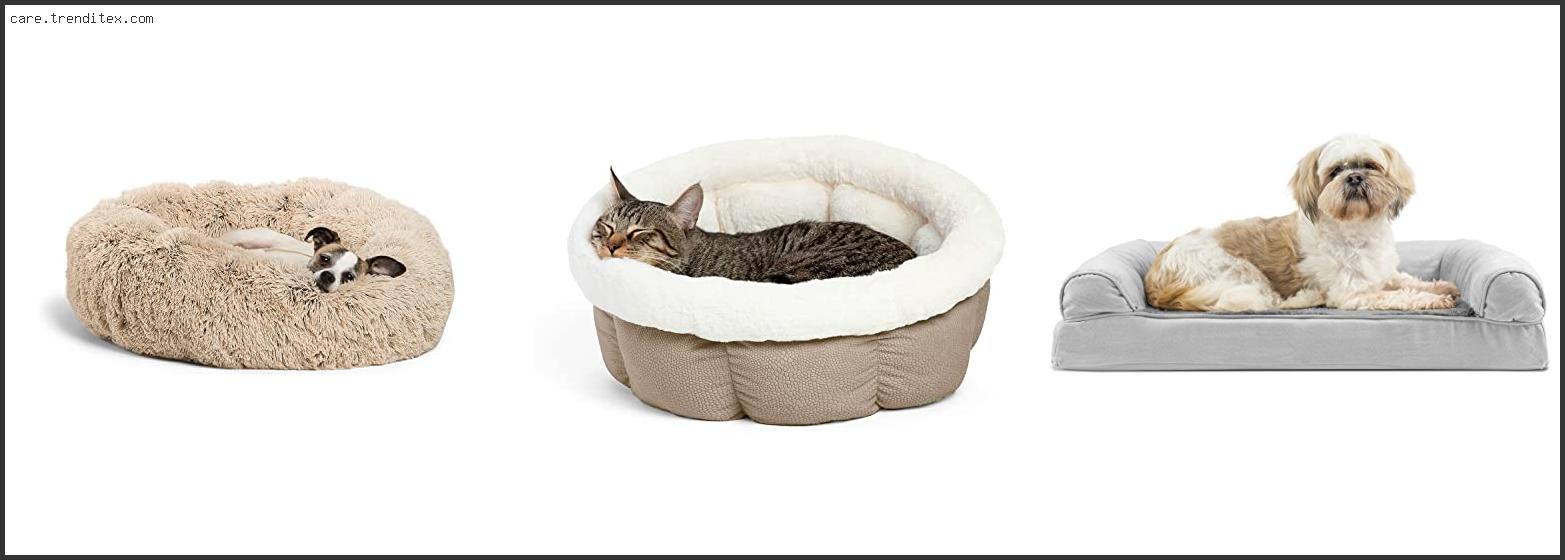 Best Dog Bed For Shih Tzu