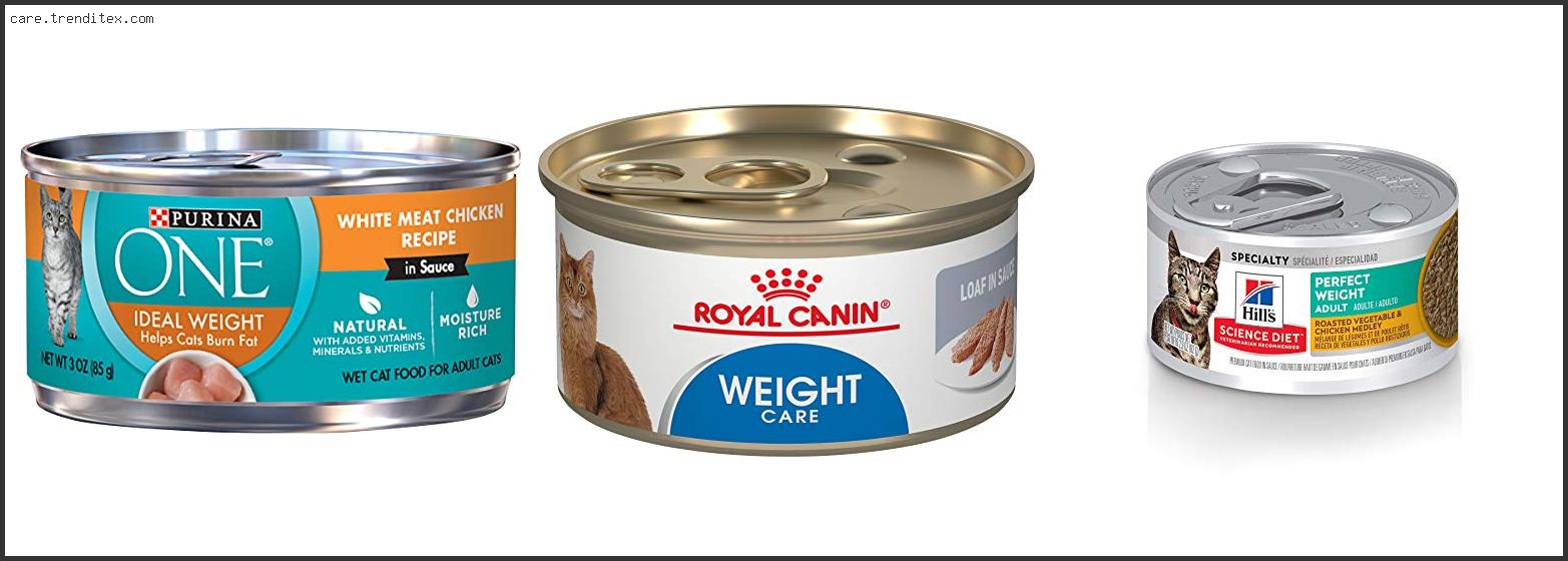 Best Low Calorie Canned Cat Food
