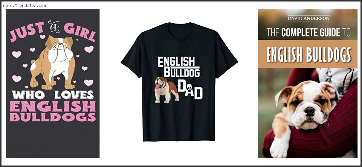 Best Gifts For English Bulldogs