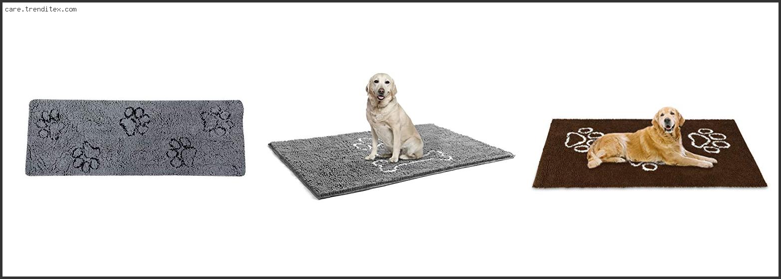 Best Dog Mat For Muddy Paws