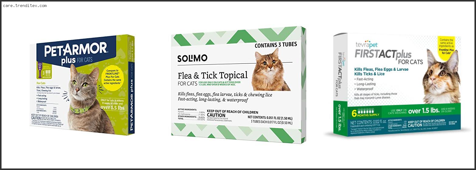 Best Chewable Flea And Tick For Cats
