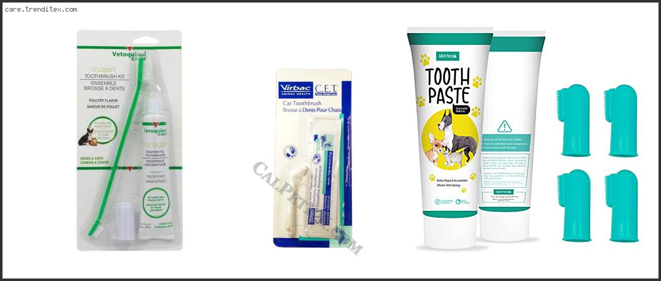 Best Cat Toothbrush And Toothpaste