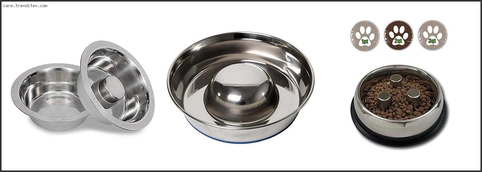 Best Stainless Steel Slow Feed Dog Bowl