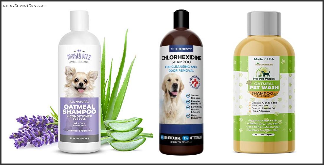 Best Dog Shampoo For Itchy Smelly Skin
