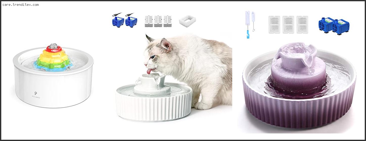 Best Ceramic Cat Water Fountain