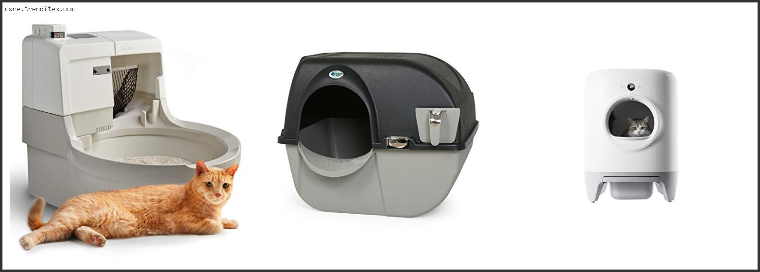 Best Self Cleaning Litter Box For Multiple Cats
