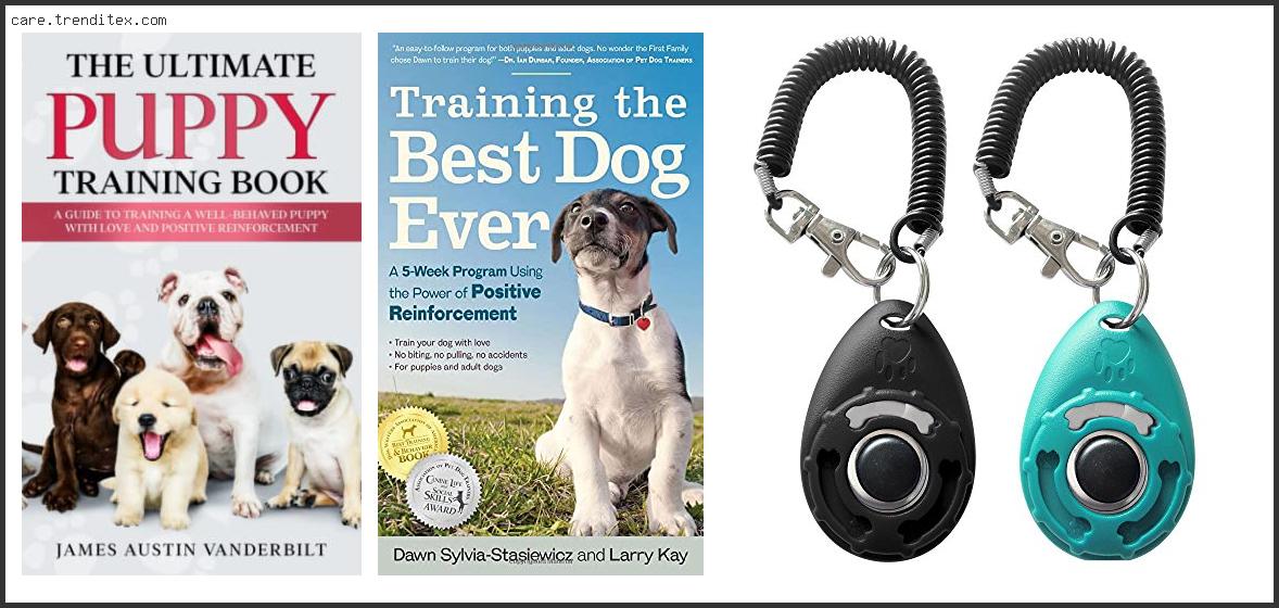 Best Positive Reinforcement Dog Training Books