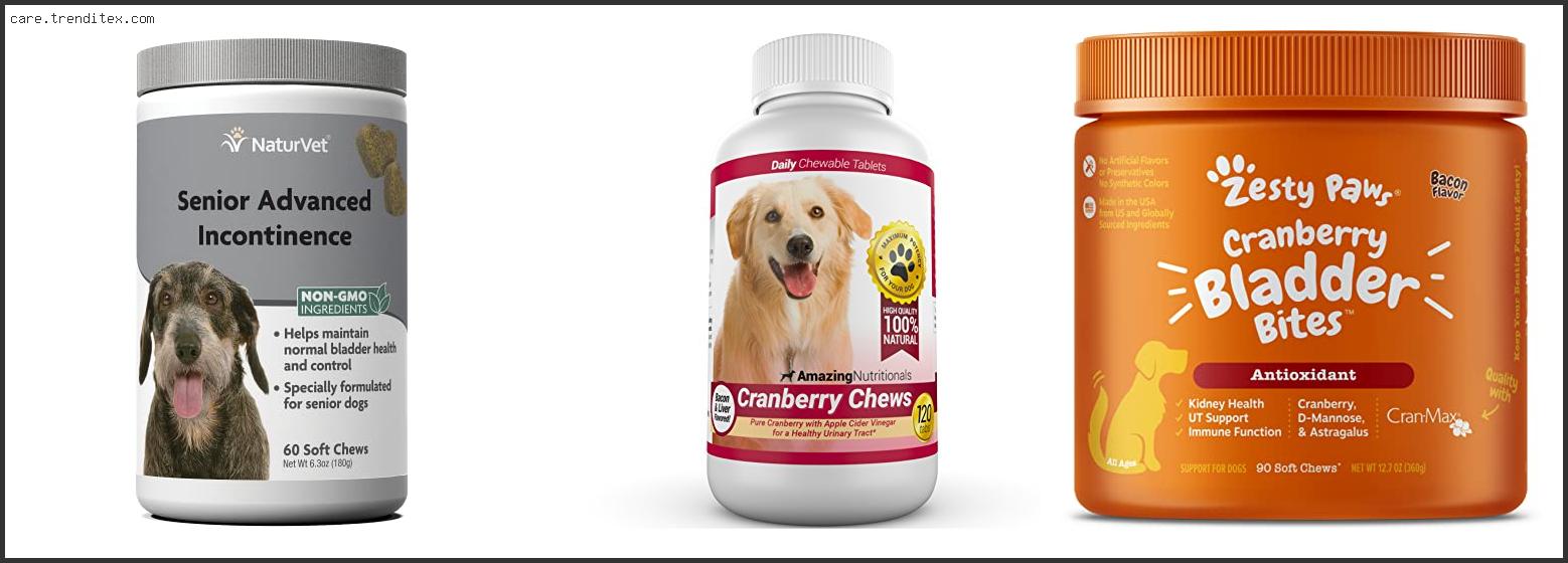 Best Over The Counter Treatment For Dog Uti