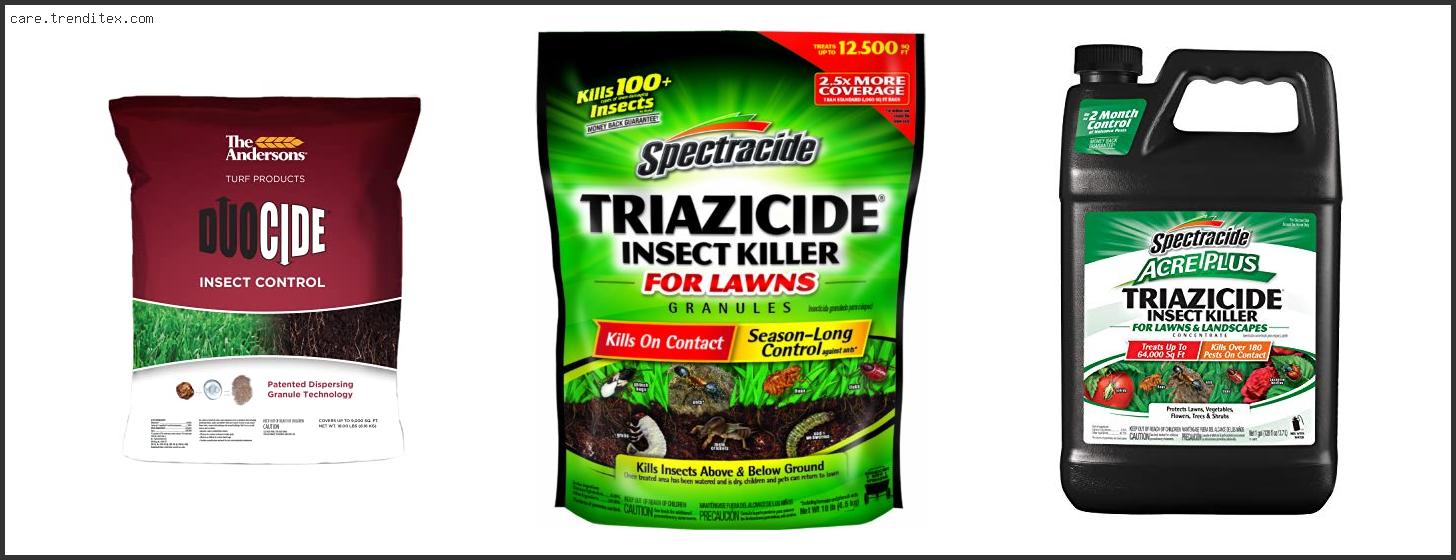 Best Insecticide For Lawns