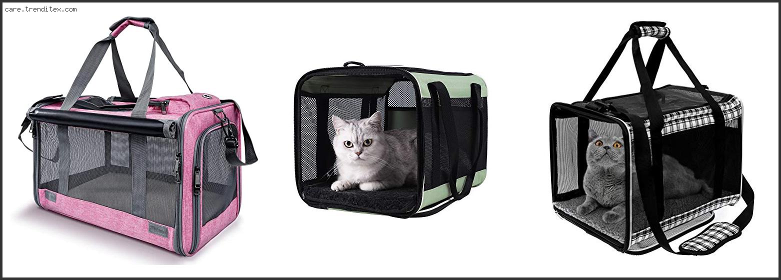 Best Large Cat Carrier