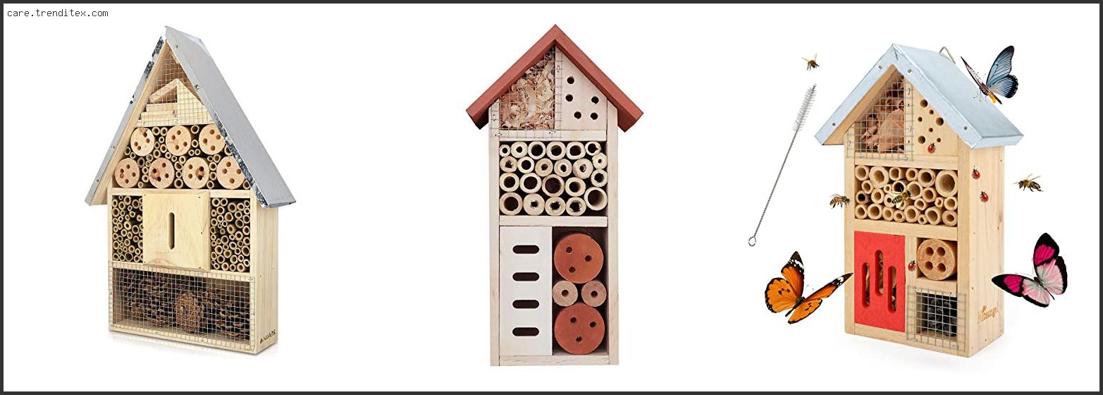 Best Insect Hotel