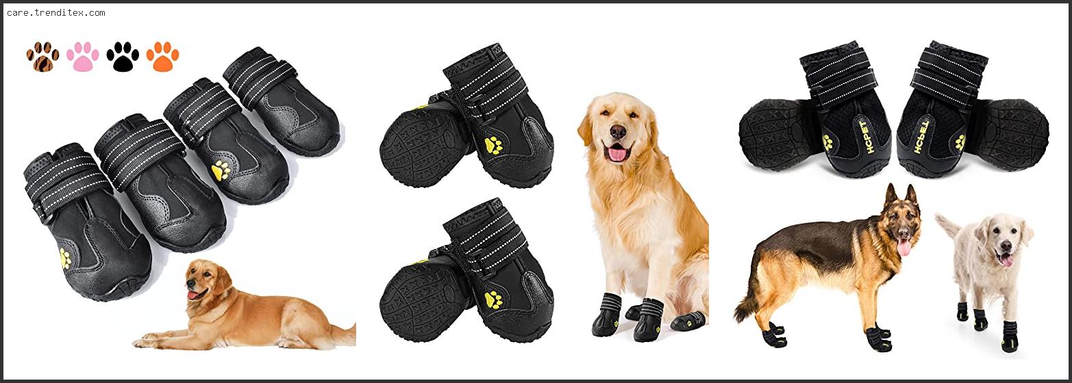 Best Dog Shoes For Large Dogs