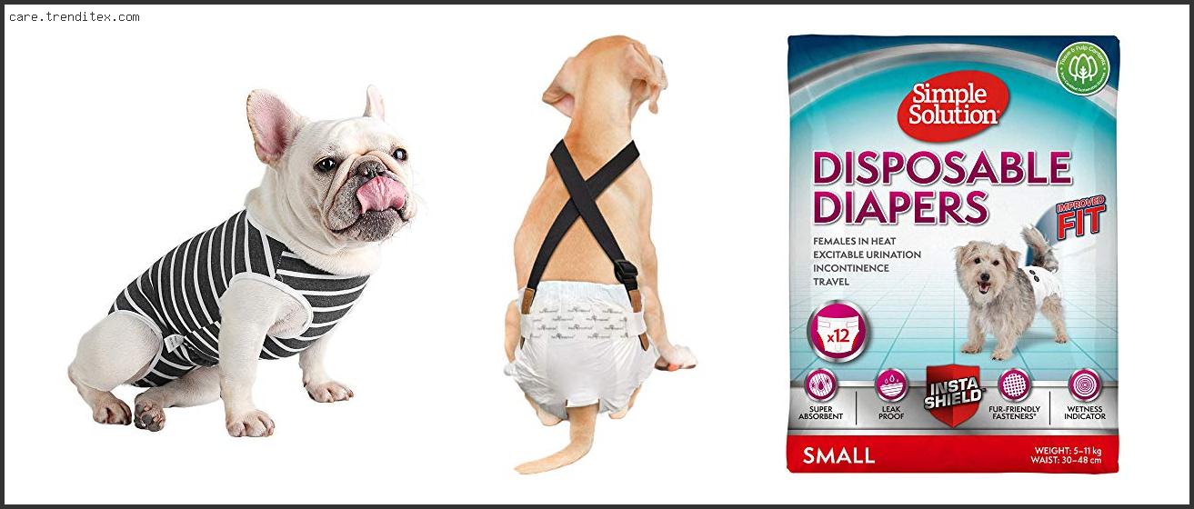 Best Diapers For French Bulldogs