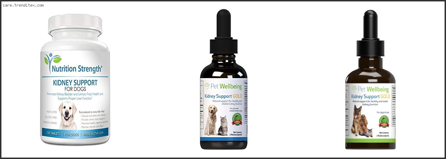 Best Kidney Supplement For Dogs