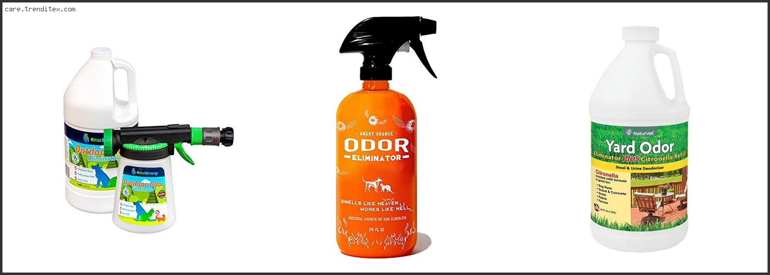 Best Outdoor Pet Odor Eliminator