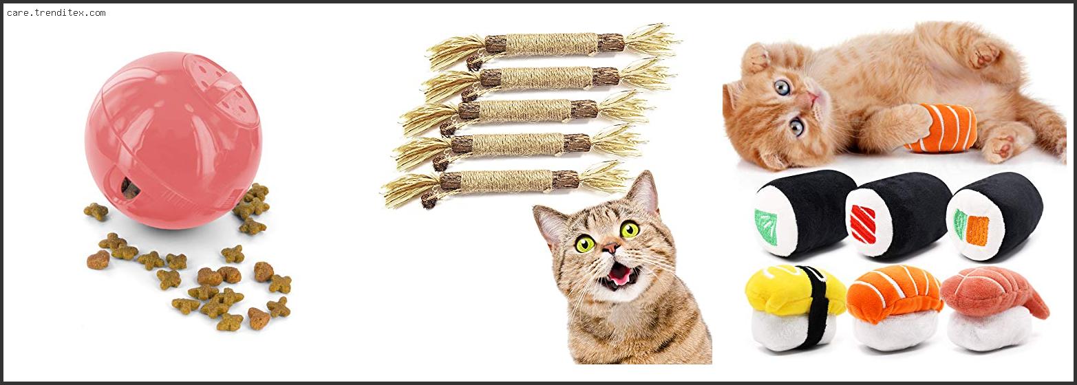 Best Toys For Cats That Like To Chew
