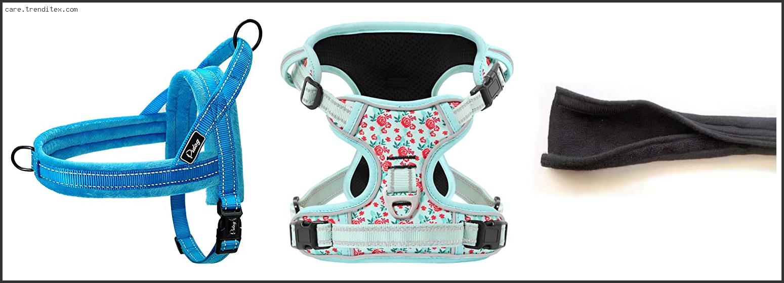 Best Dog Harness With Padding
