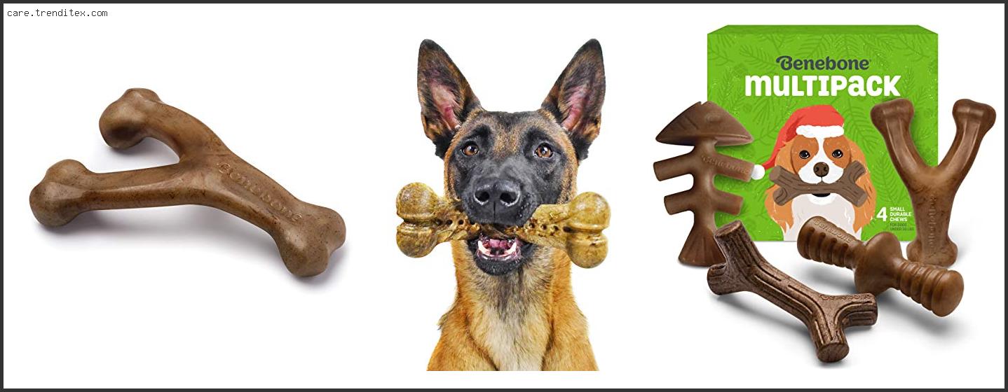 Best Chew Toy For Dog