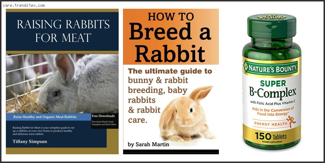 Best Book On Raising Meat Rabbits