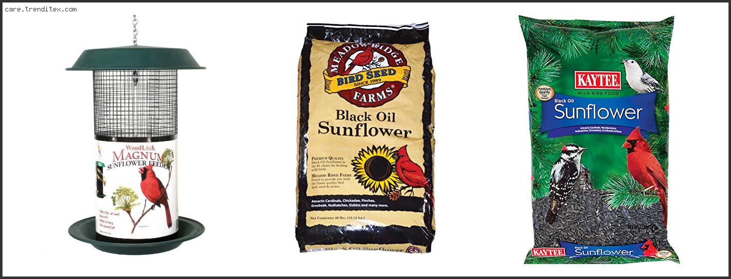 Best Bird Feeder For Black Oil Sunflower Seeds