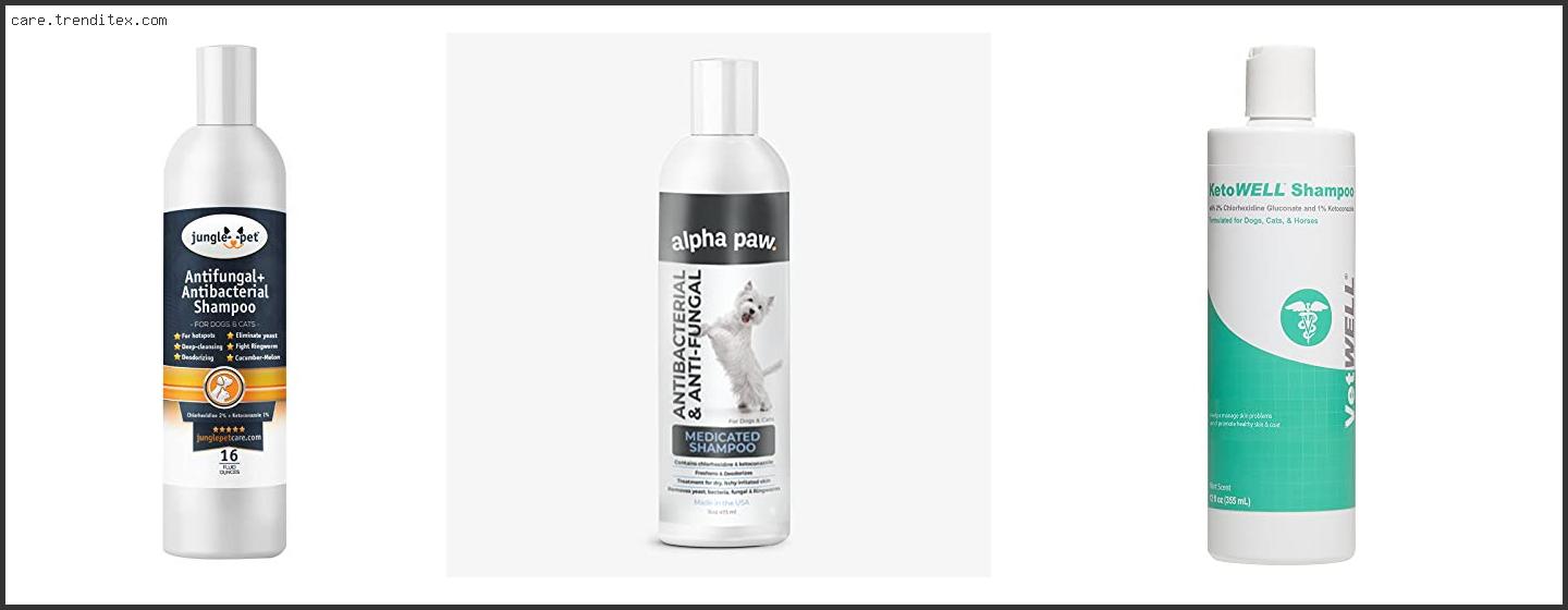 Best Antifungal Shampoo For Cats