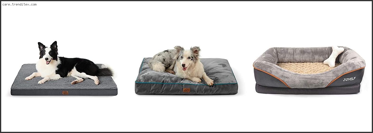 Best Dog Beds With Removable Covers