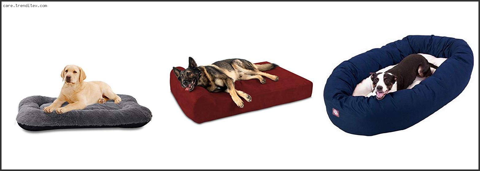 Best Dog Beds For Pitbulls