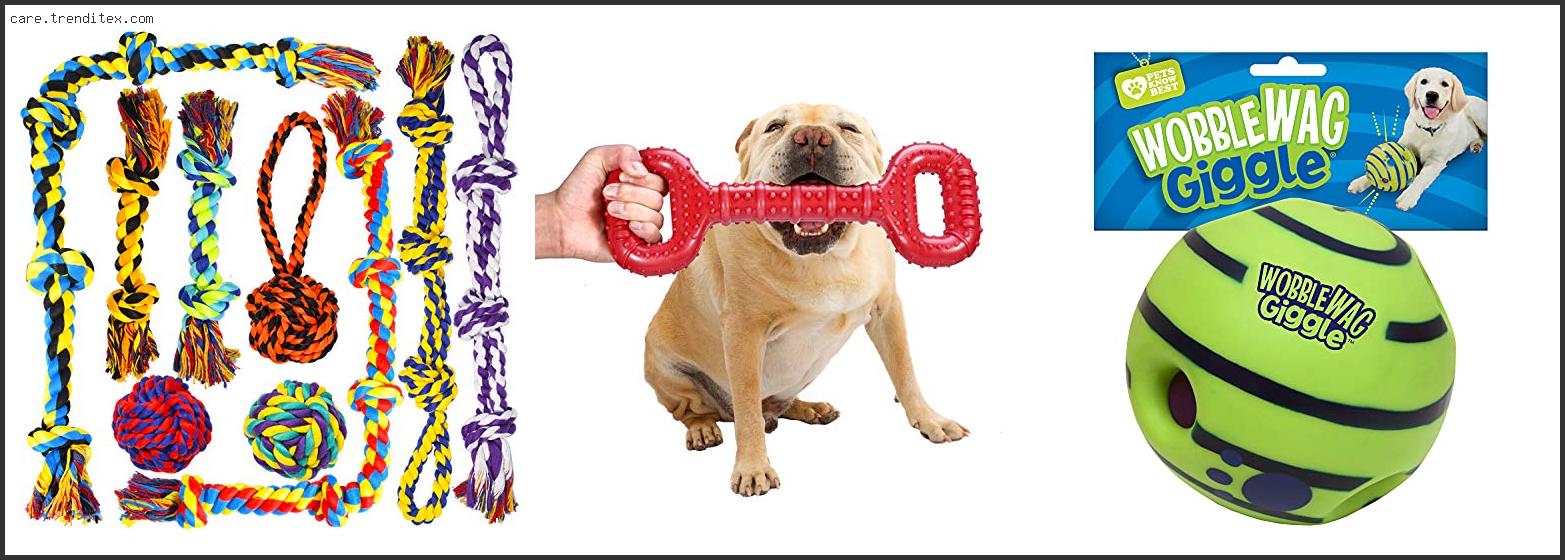 Best Pitbull Dog Toys