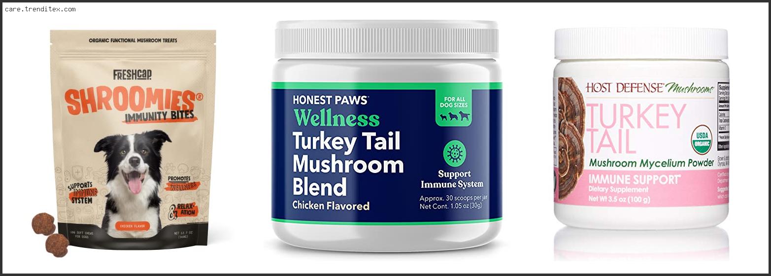 Best Turkey Tail Mushroom For Dogs