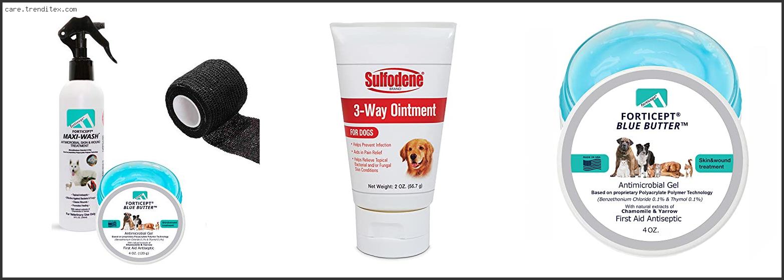 Best Ointment For Dog Rash