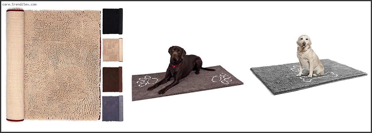 Best Rug For Muddy Dog Paws