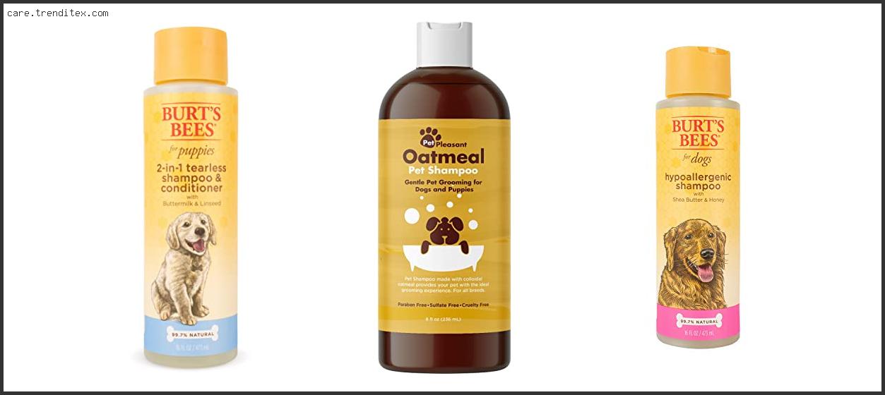 Best Dog Shampoo For Dachshunds