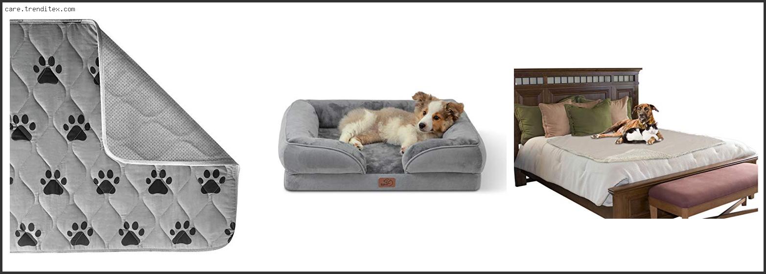 Best Pee Proof Dog Bed